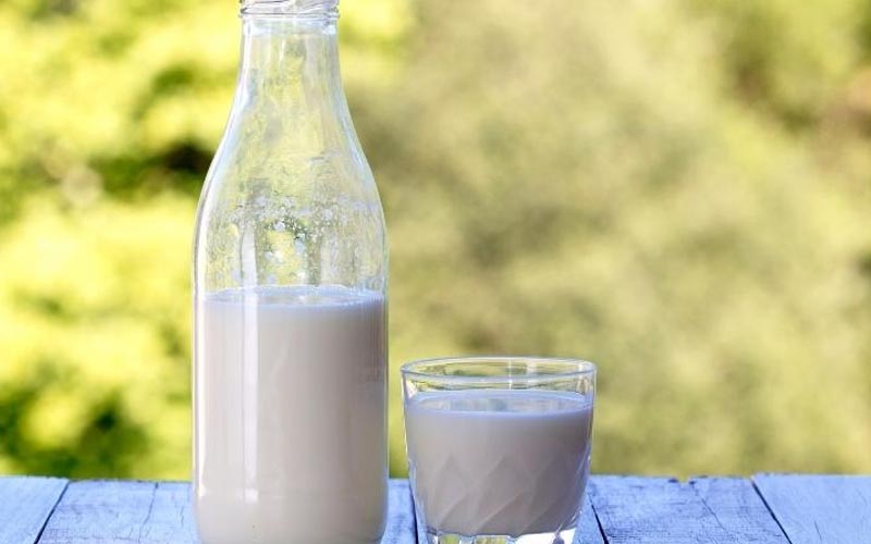 Sữa chứa nhiều protein và các khoáng chất, là một nguồn tài nguyên tự nhiên giúp cải thiện độ mịn màng của môi