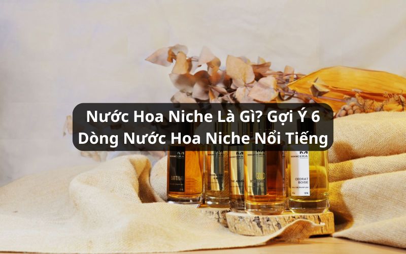 nước hoa niche là gì