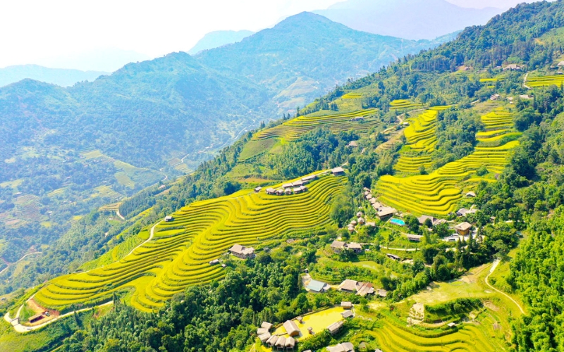 Ruộng bậc thang Hoàng Su Phì